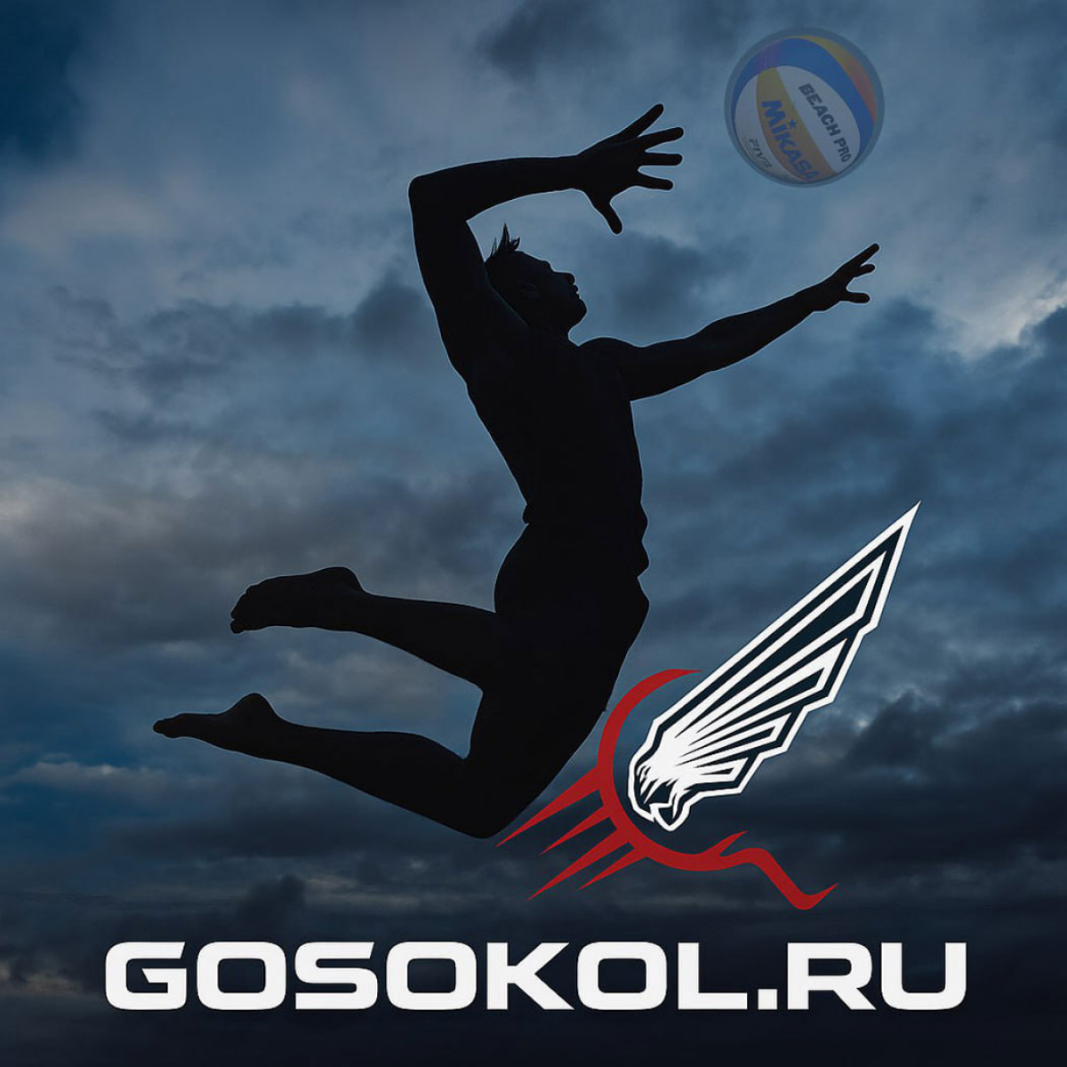Фото: t.me/sokol_sport